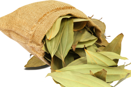 Bay Leaf